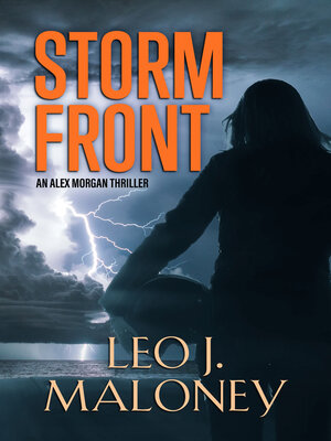 cover image of Storm Front